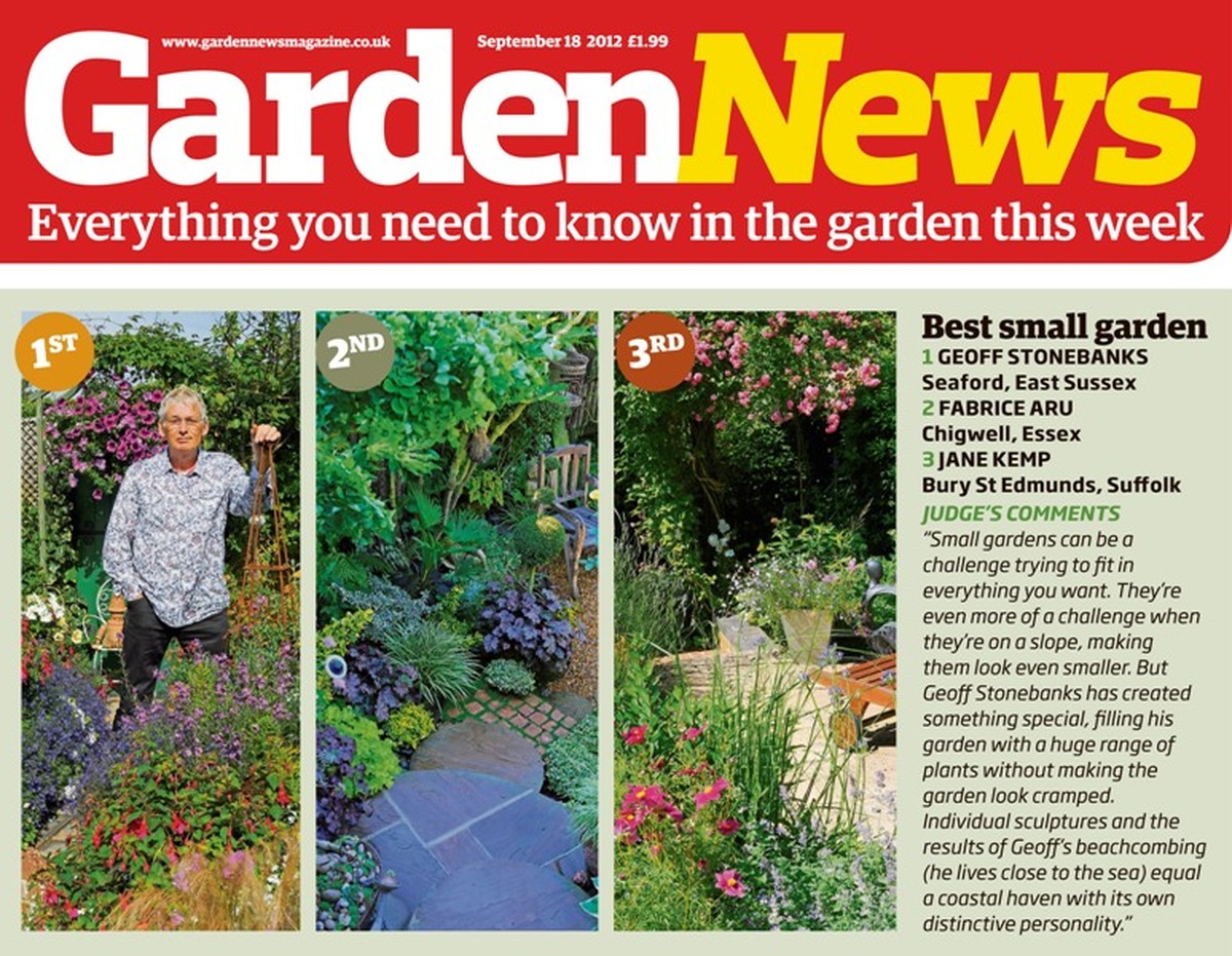 Zeitungspapier unter die Blumentöpfe – warum Gärtner das immer tun