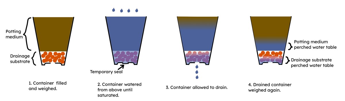 Zeitungspapier unter die Blumentöpfe – warum Gärtner das immer tun - image 1