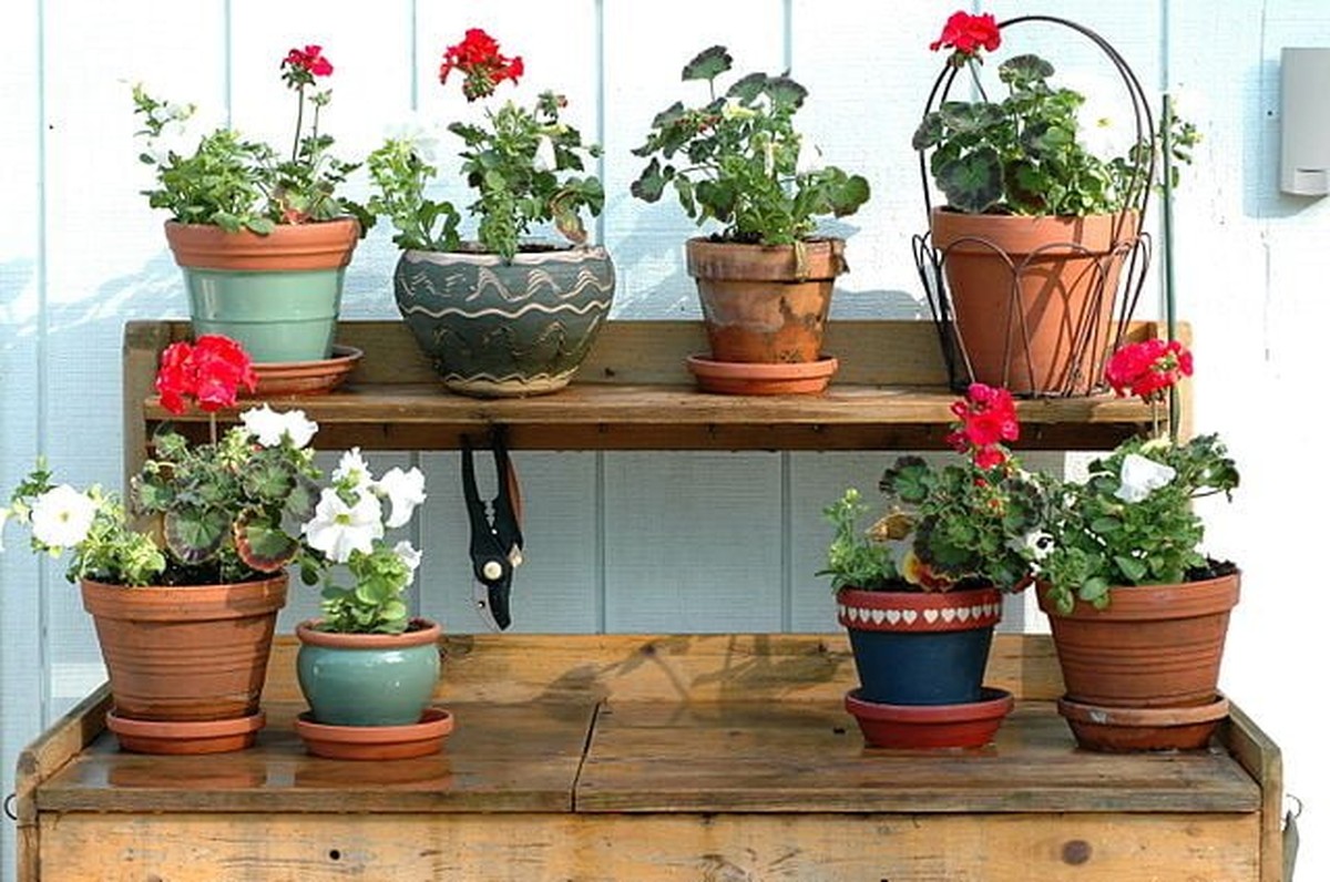 Zeitung unter die Blumentöpfe? Der alte Gärtnertrick gegen Staunässe - image 2